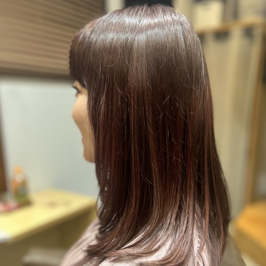 ギャラリー